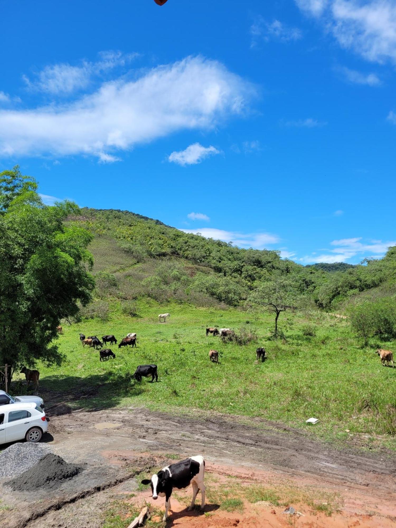 Pousada Camping Dos Ypes Guapimirim Bagian luar foto